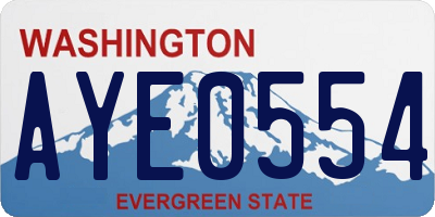 WA license plate AYE0554