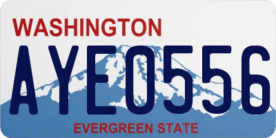 WA license plate AYE0556