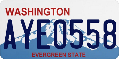 WA license plate AYE0558