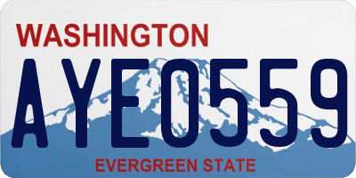 WA license plate AYE0559