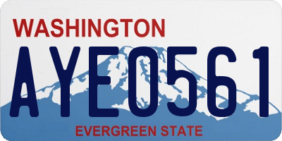 WA license plate AYE0561