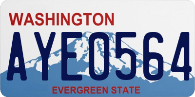 WA license plate AYE0564
