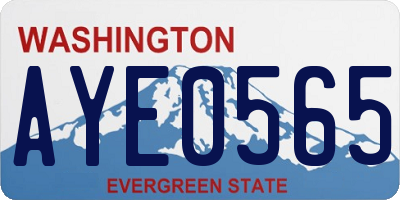 WA license plate AYE0565
