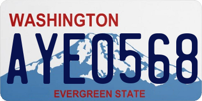 WA license plate AYE0568