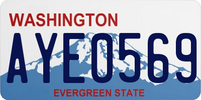 WA license plate AYE0569