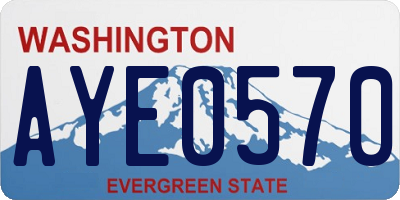 WA license plate AYE0570