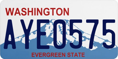 WA license plate AYE0575