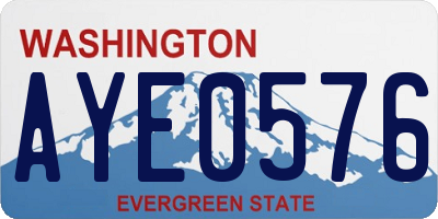 WA license plate AYE0576