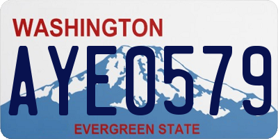 WA license plate AYE0579