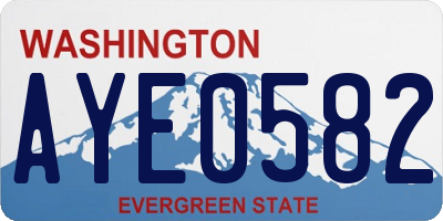 WA license plate AYE0582