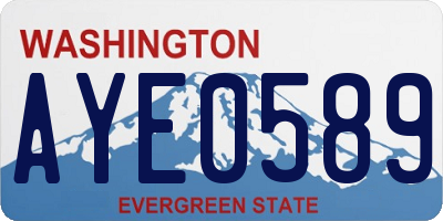 WA license plate AYE0589