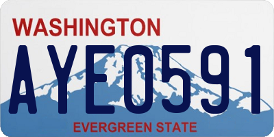 WA license plate AYE0591