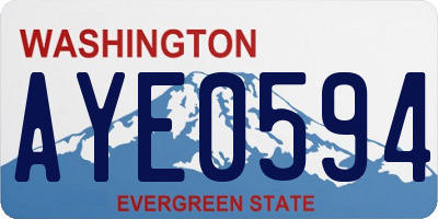 WA license plate AYE0594