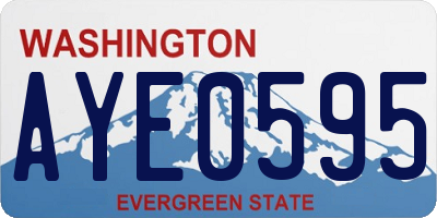 WA license plate AYE0595