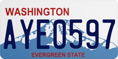 WA license plate AYE0597