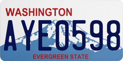 WA license plate AYE0598