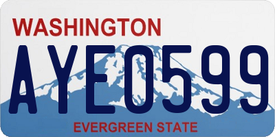 WA license plate AYE0599