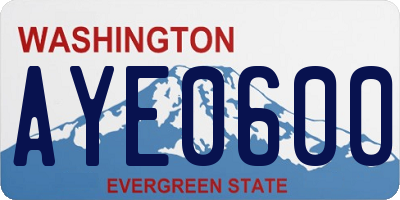 WA license plate AYE0600