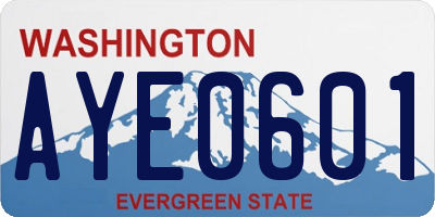 WA license plate AYE0601