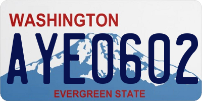 WA license plate AYE0602