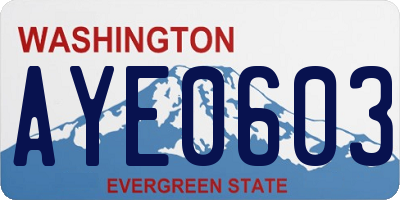WA license plate AYE0603