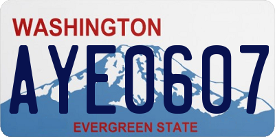 WA license plate AYE0607