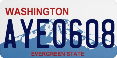 WA license plate AYE0608