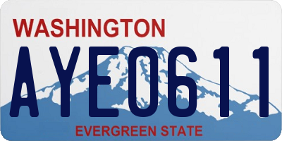 WA license plate AYE0611