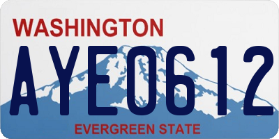 WA license plate AYE0612