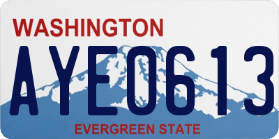 WA license plate AYE0613