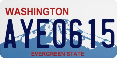 WA license plate AYE0615