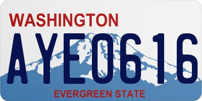 WA license plate AYE0616