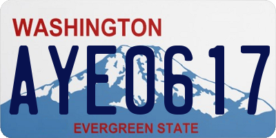 WA license plate AYE0617