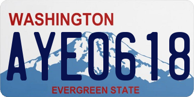 WA license plate AYE0618