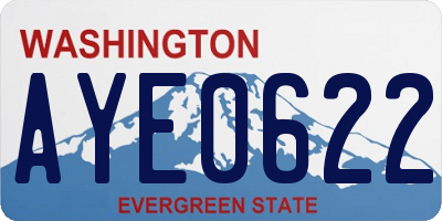 WA license plate AYE0622