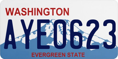 WA license plate AYE0623