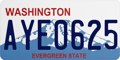 WA license plate AYE0625