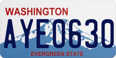 WA license plate AYE0630