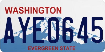 WA license plate AYE0645