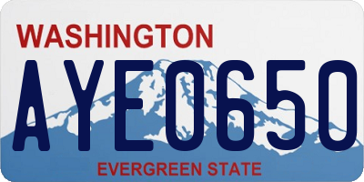 WA license plate AYE0650