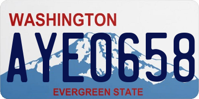 WA license plate AYE0658