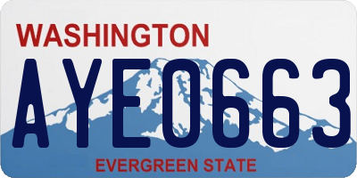 WA license plate AYE0663