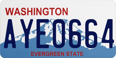 WA license plate AYE0664
