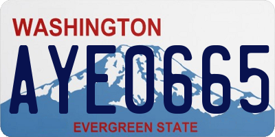 WA license plate AYE0665
