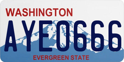 WA license plate AYE0666