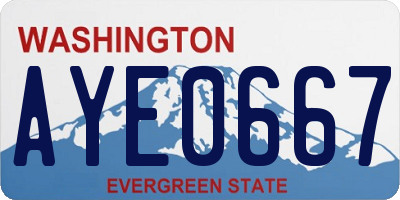 WA license plate AYE0667