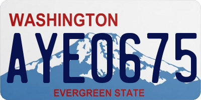 WA license plate AYE0675