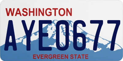 WA license plate AYE0677