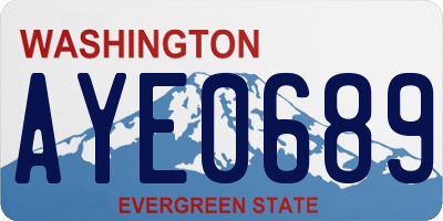 WA license plate AYE0689