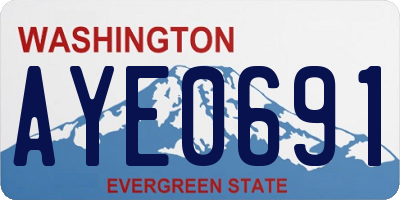 WA license plate AYE0691